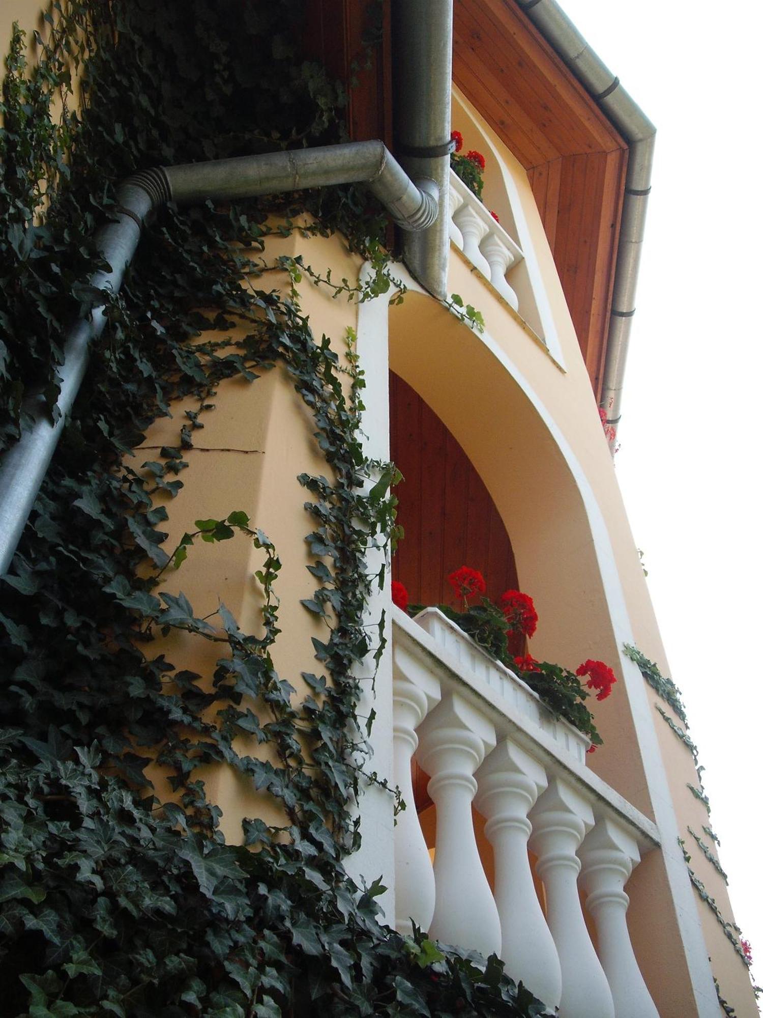 Ilona Kis Kastély Panzió Hotel Keszthely Exterior foto